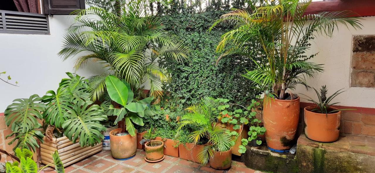 Villa Del Prado Medellin Ngoại thất bức ảnh